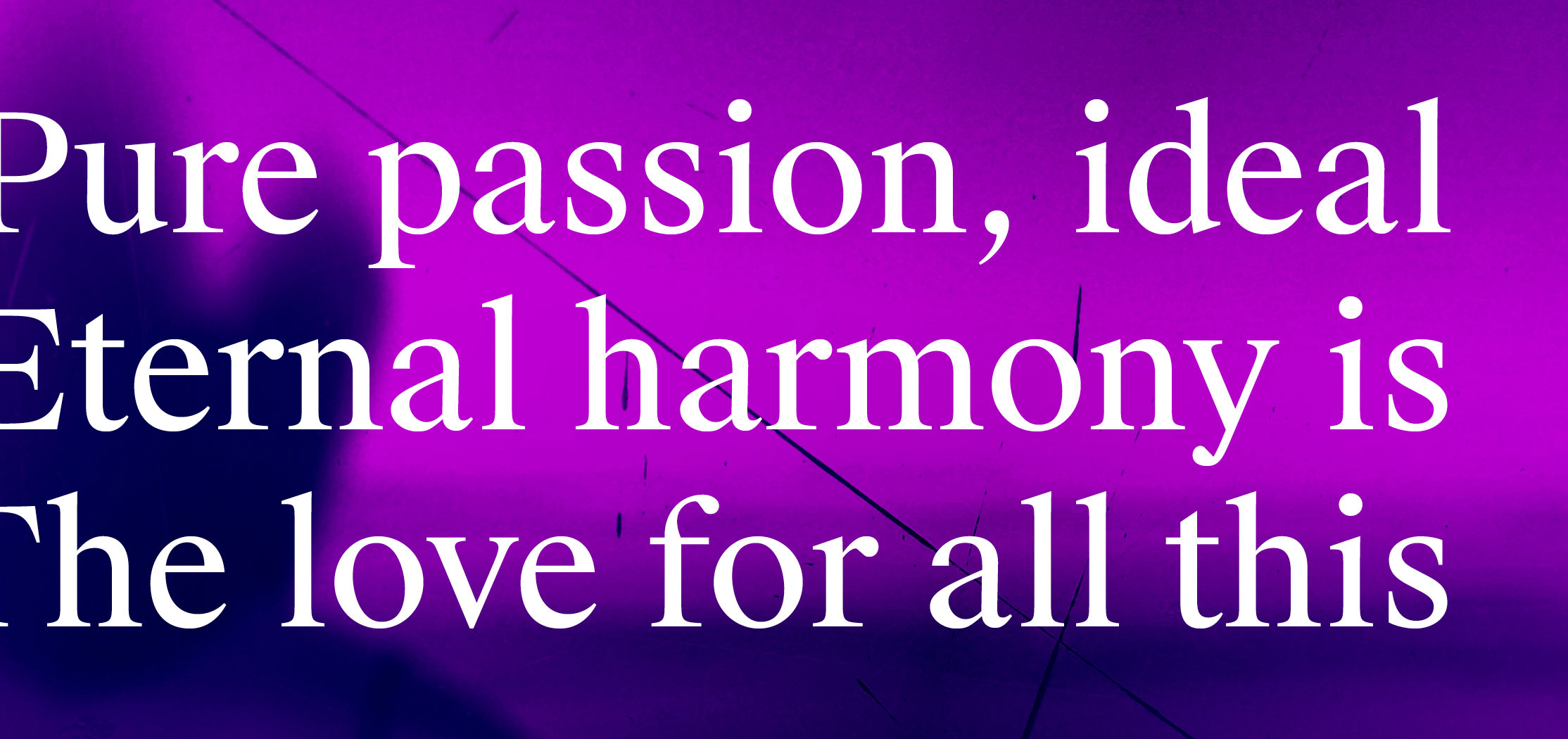 Suisse Swiss Typefaces